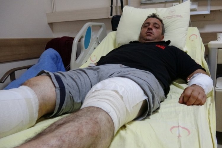 Tokat'ta ayı saldırısından g&uuml;reşerek kurtuldu