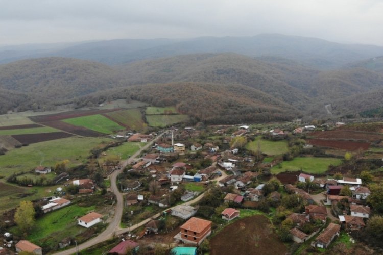 Bursa'da kurtların dadandığı k&ouml;yde, k&ouml;yl&uuml; korku i&ccedil;inde
