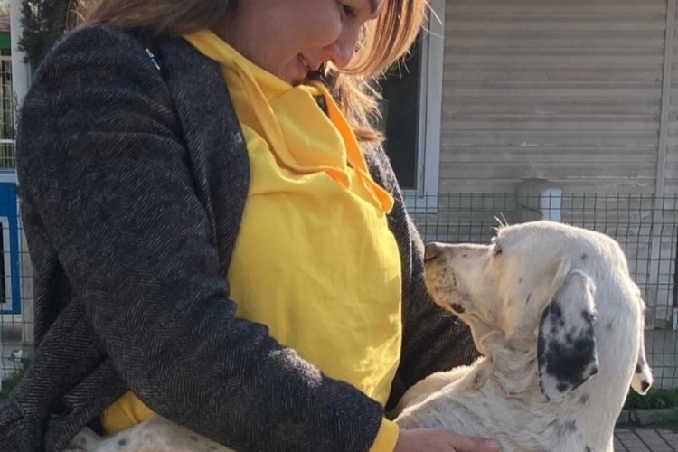 Doğa varsa hayat var g&ouml;n&uuml;ll&uuml;leri paticanlar i&ccedil;in yine durmadı
