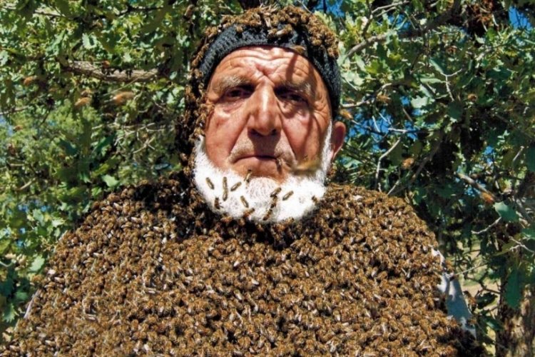 Kayserili Sami Dede, arılarla yaşıyor