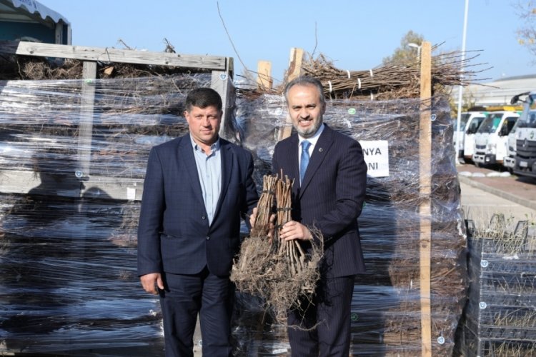 Bursa toprağı B&uuml;y&uuml;kşehir'le bereketleniyor
