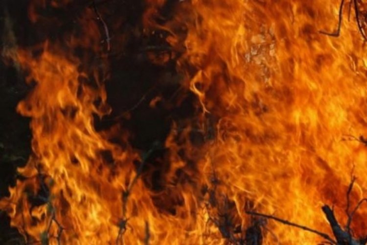 Bulgaristan'da huzurevinde &ccedil;ıkan yangında 9 kişi &ouml;ld&uuml;