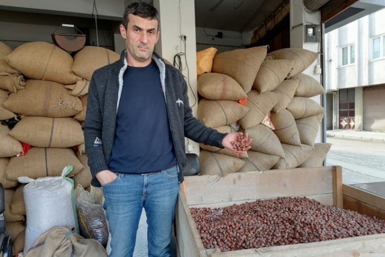 Fındık fiyatları da dolardan etkilendi