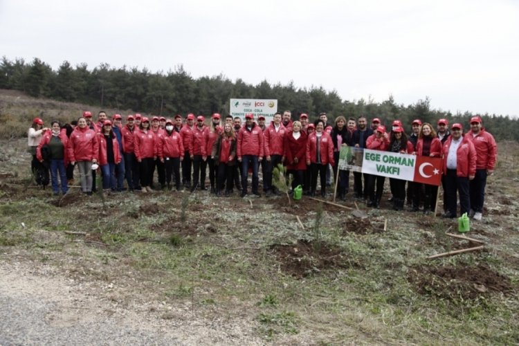Bursa'da Coca-Cola Hatıra Ormanları'nda 50 bin fidan yeşerecek