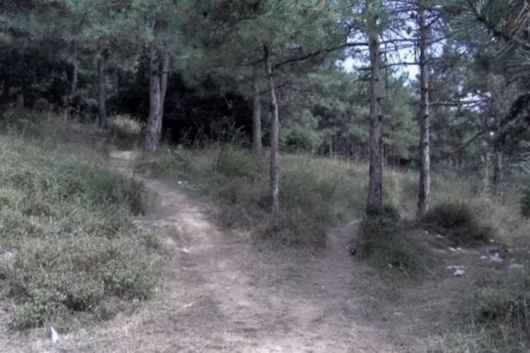Cinayete tepki g&ouml;sterdi, 4 g&uuml;n hapis cezası aldı