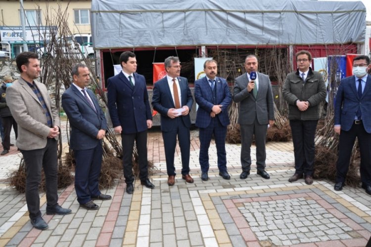 Bursa'da dağ il&ccedil;esinde 6 bin adet ayva fidanı dağıtıldı