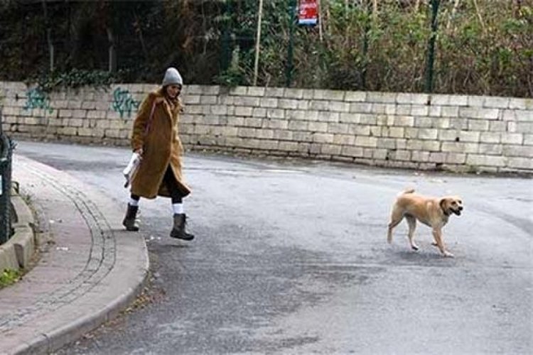 Merve Oflaz'ın makyajsız hali şaşırttı
