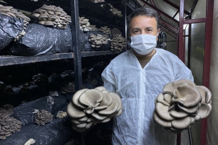 Bah&ccedil;esine kurduğu tesiste 40 ton mantar &uuml;retiyor