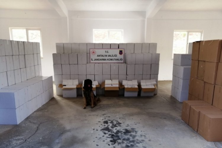 Kamyon kasasında 500 bin liralık makaron &ccedil;ıktı