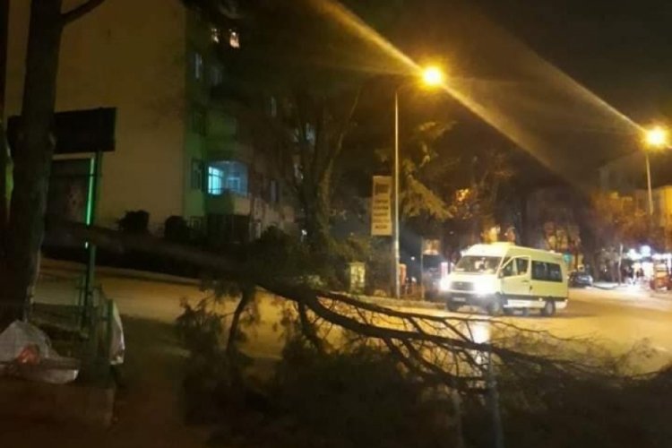 Bursa'da ağa&ccedil;lar devrildi! Ortalık savaş alanına d&ouml;nd&uuml; (&Ouml;ZEL HABER)