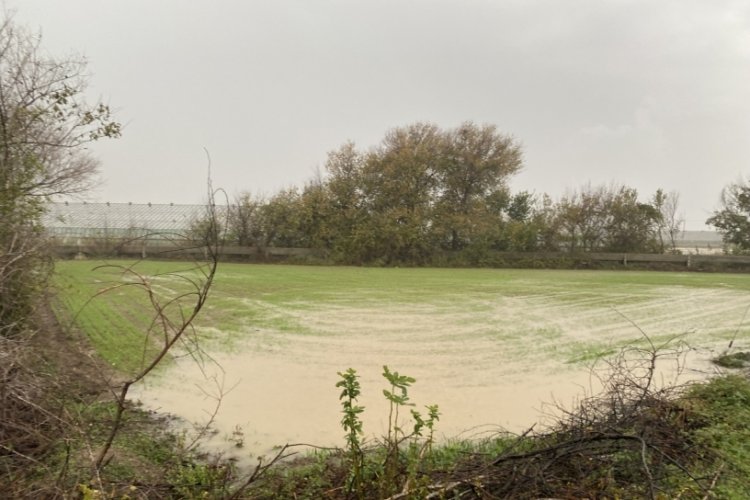 Antalya'da ekili alanlar ve &ccedil;ilek seraları sular altında kaldı