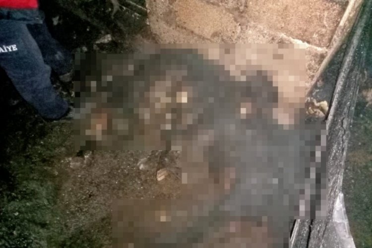 Ağrı'da yangın: 16 k&uuml;&ccedil;&uuml;kbaş hayvan telef oldu