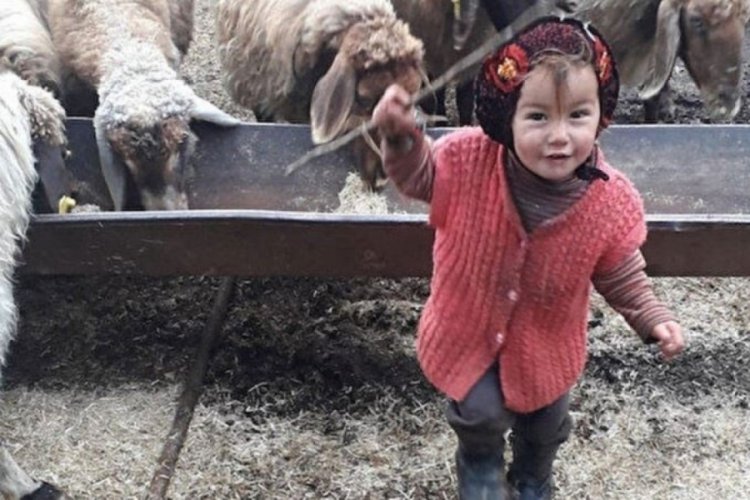 M&uuml;sl&uuml;me Yağal'ın &ouml;l&uuml;m&uuml;yle ilgili yayın yasağına uymayanlara soruşturma