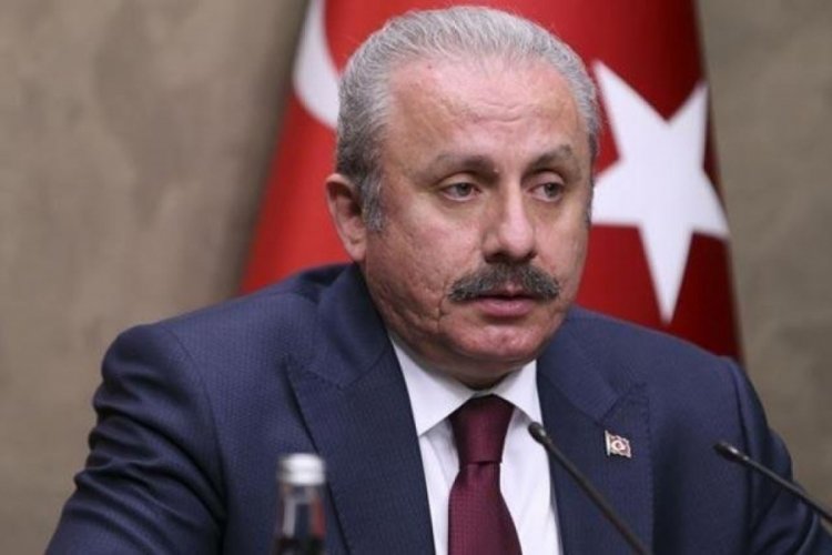 TBMM Başkanı Şentop: Avrupa g&ouml;&ccedil; krizinin sorumluluğunu &uuml;stlenmesi gerek