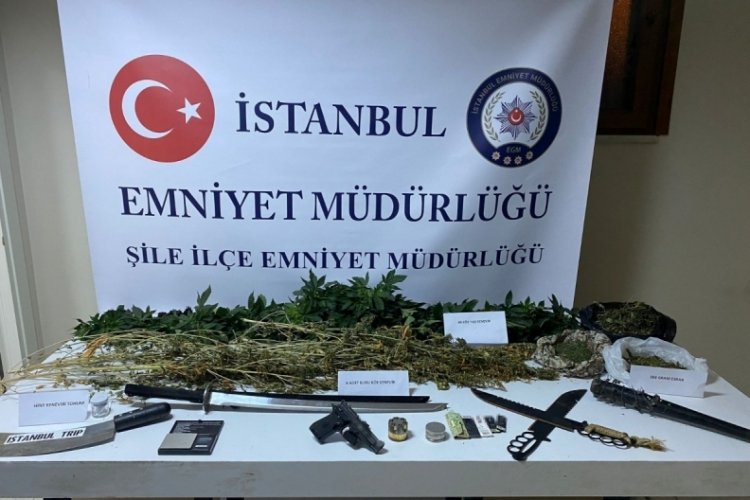 İstanbul'da evini uyuşturucu serasına &ccedil;eviren zanlı g&ouml;zaltında