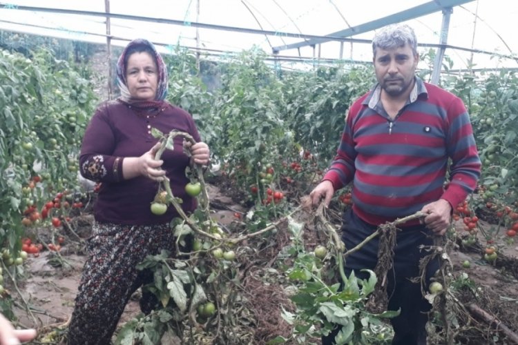 Ne yaptıysa serasını kurtaramadı, anlattıkları y&uuml;rek dağladı