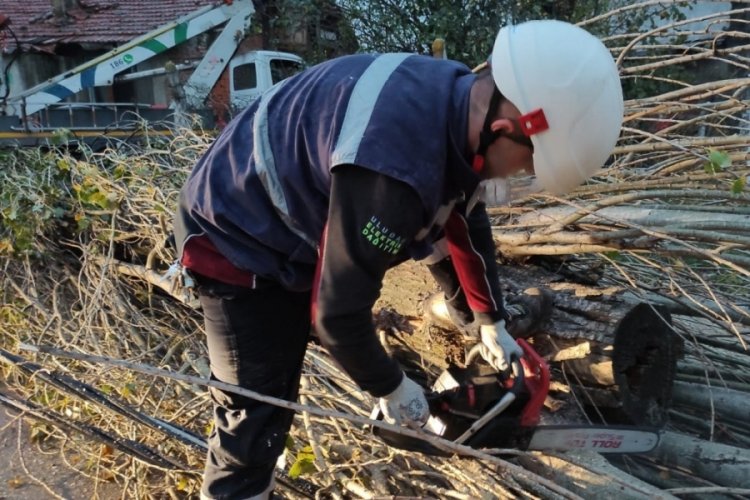 Bursa'da şiddetli lodos enerji hatlarını da tahrip etti