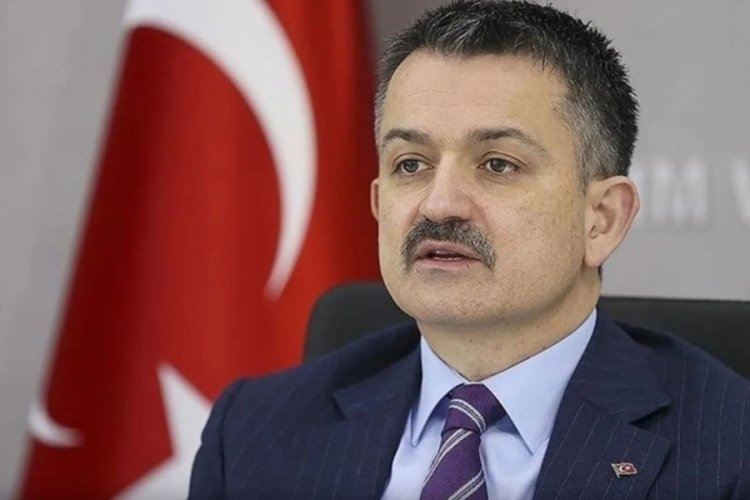 Artan maliyet s&uuml;t fiyatlarına vurdu
