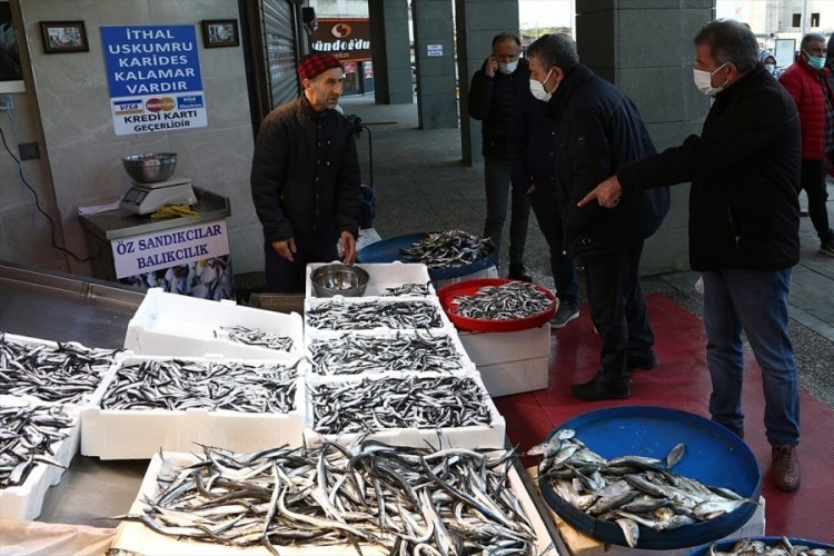Tezgahlarda hamsinin kilosu 12,5 ila 20 liradan satılıyor