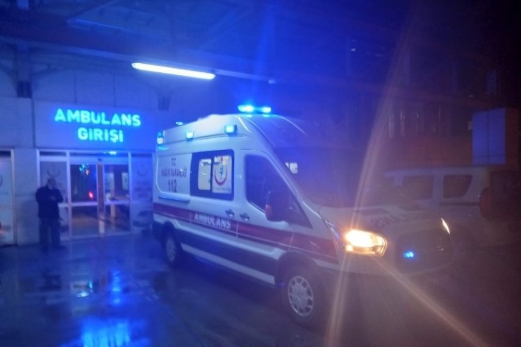Hayvanların peşinden giderken kamyonet &ccedil;arptı