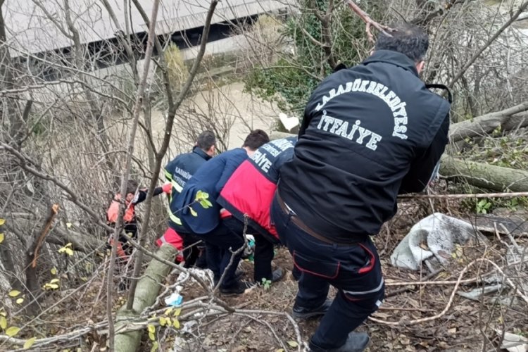 Ağa&ccedil; keserken u&ccedil;urumdan aşağıya yuvarlandı