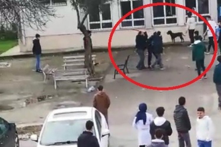 Okula dalan pitbull &ouml;ğrencilere dehşeti yaşattı