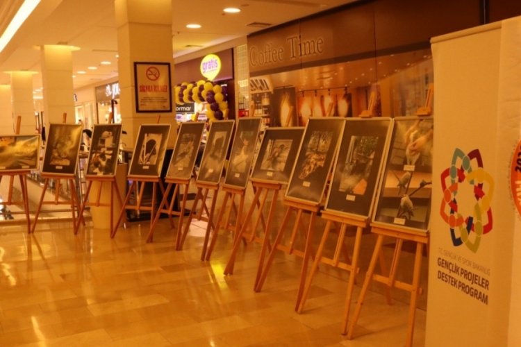 Bursa'da sokakta yaşayan hayvanları tek tek fotoğraflayıp sergi a&ccedil;tılar
