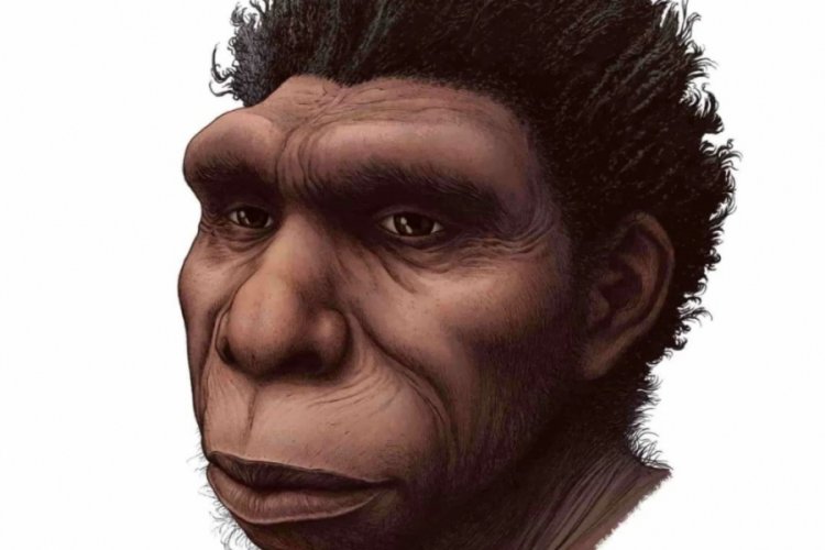 Yeni bir insan t&uuml;r&uuml; bulundu!  'Gordion'un d&uuml;ğ&uuml;m&uuml;'n&uuml; &ccedil;&ouml;zebilir