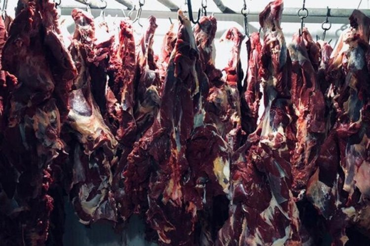 Depoda 300 kilo at eti! Baba ve oğlu g&ouml;zaltında