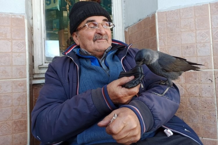 Bursa'da bir yemden &ouml;m&uuml;rl&uuml;k hatır (&Ouml;ZEL HABER)