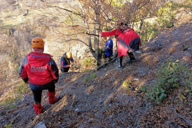 Bursa'da kayalıklarda mahsur kaldı! &Ouml;l&uuml;m&uuml; bekleyen k&ouml;peği ekipler kurtardı
