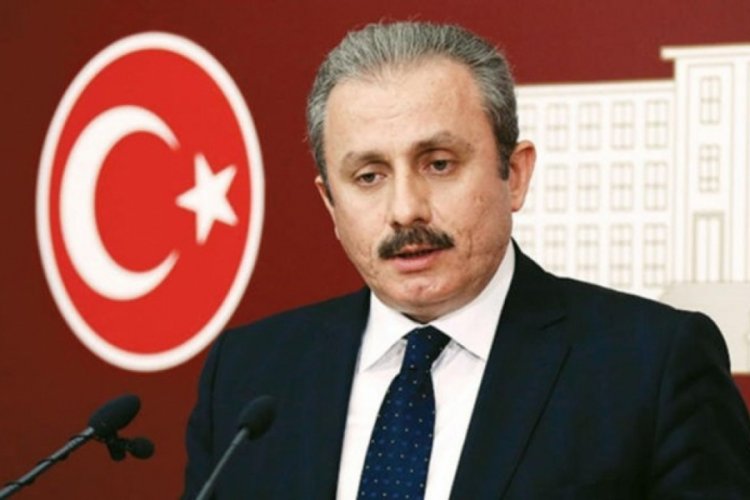 TBMM Başkanı Şentop: G&ouml;&ccedil; k&uuml;resel bir sorundur