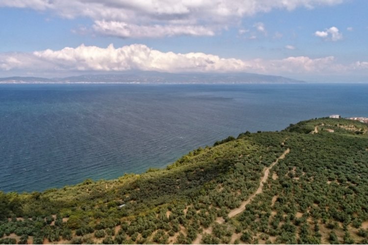 Yeniden temiz bir Marmara i&ccedil;in:  Bursa'da 'Mudanya Deniz &Ccedil;alıştayı'