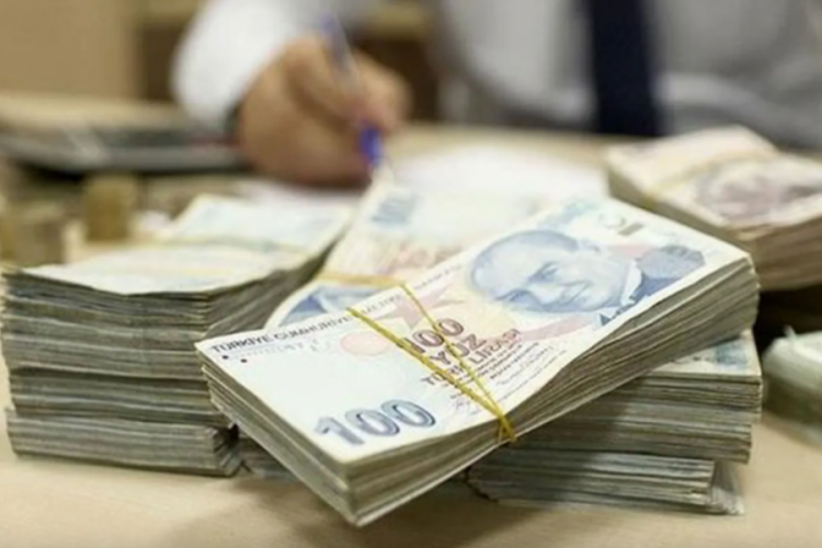 &Ccedil;ift&ccedil;iye destek &ouml;demeleri hesaplara yatmaya başladı
