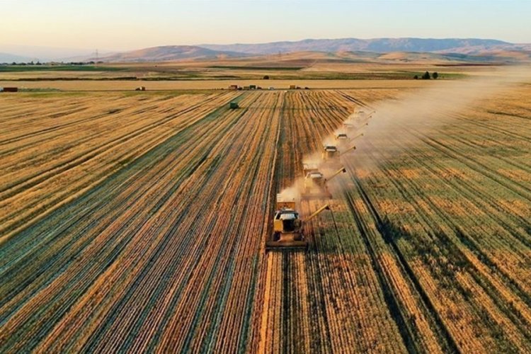 &Ccedil;ift&ccedil;iye destek &ouml;demesi; Hesaplara aktarılmaya başlandı