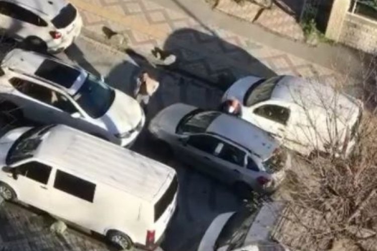Ters y&ouml;nden gitti, doğru y&ouml;nden giden s&uuml;r&uuml;c&uuml;n&uuml;n aracına saldırdı