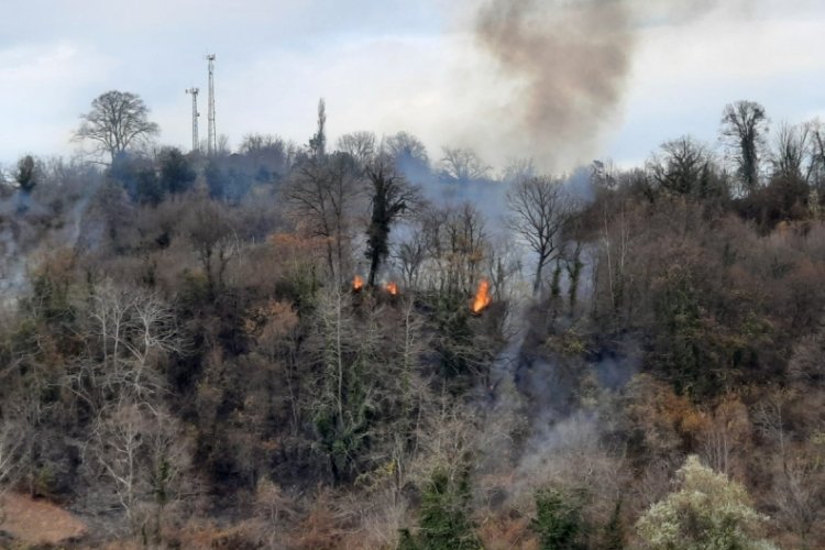 Sinop'ta ormanlık alanda yangın &ccedil;ıktı