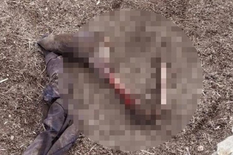 İran sınırında kan donduran olay! Par&ccedil;alanmış halde bulundu