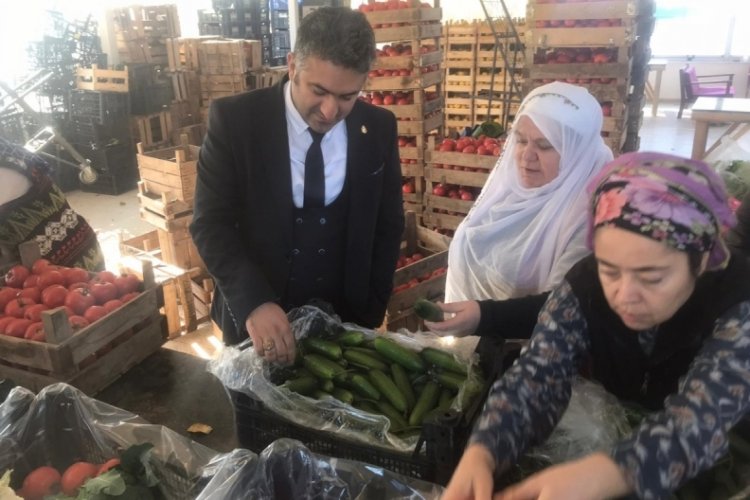 Atıl durumdaki tarım arazilerine BEBKA desteği