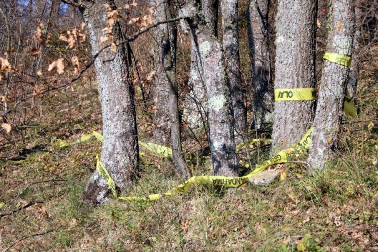 Zonguldak'ta kesik baş cinayetinde DNA &ouml;rnekleriyle ilgili rapor bekleniyor
