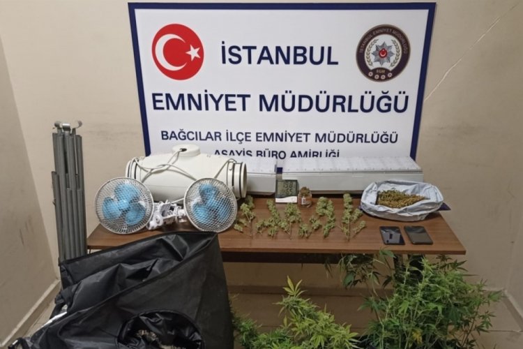 İstanbul Bağcılar'da uyuşturucu serası kurulan eve baskın