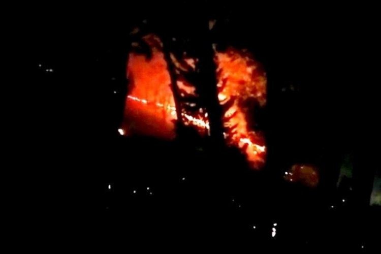 Osmaniye'de &ccedil;ıkan orman yangını b&uuml;y&uuml;meden s&ouml;nd&uuml;r&uuml;ld&uuml;