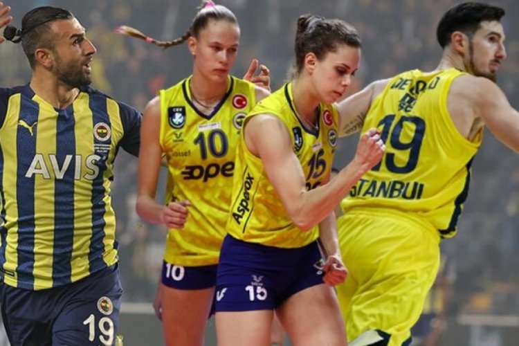 Fenerbah&ccedil;e'de zafer haftası! 3 branşta da kayıp yok...