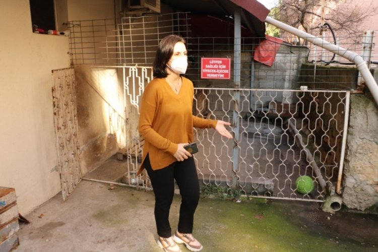 Zonguldak'ta 'Madam'ı evin &ouml;n&uuml;nden ka&ccedil;ırdılar