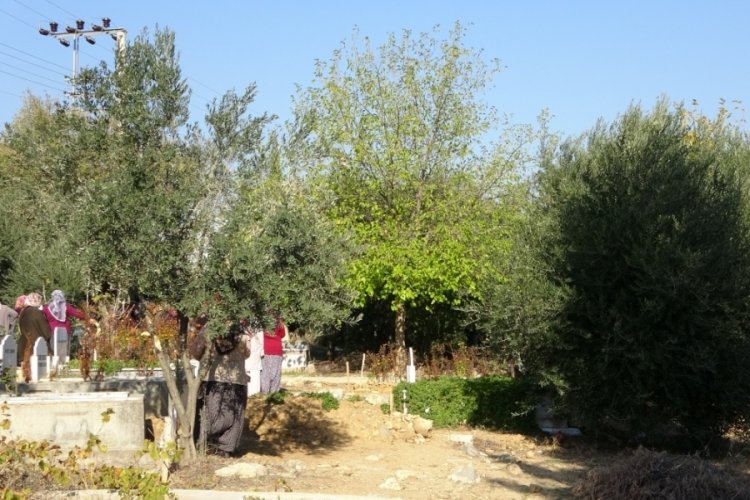 Adana'da &ouml;l&uuml; bulunan &ccedil;ift toprağa verildi