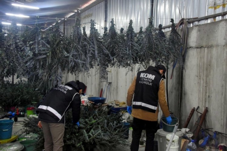 İzmir'de ka&ccedil;ak nargile t&uuml;t&uuml;n&uuml; operasyonu