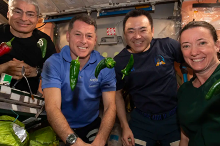 NASA biberlerle uzayda iki kez d&uuml;nya rekoru kırdı