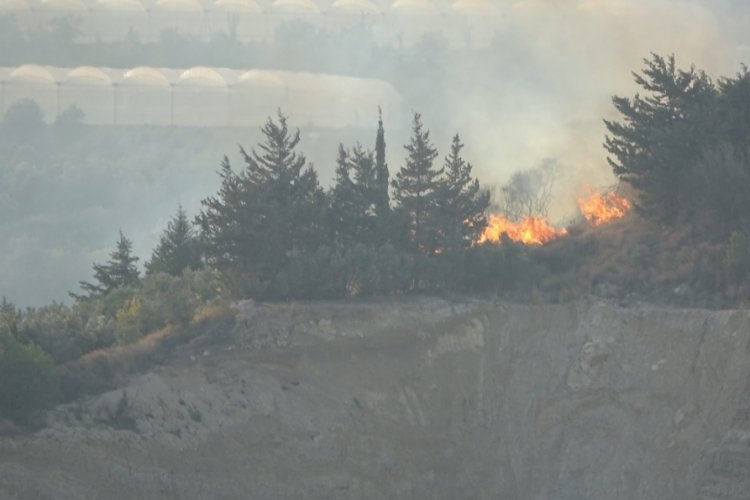 Samandağ'da &ccedil;ıkan bitki &ouml;rt&uuml;s&uuml; yangını k&uuml;rek yardımıyla s&ouml;nd&uuml;r&uuml;ld&uuml;