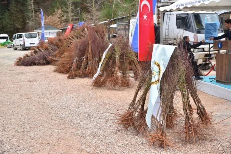 Bursa'da dağ y&ouml;resi meyvecilikle kalkınacak