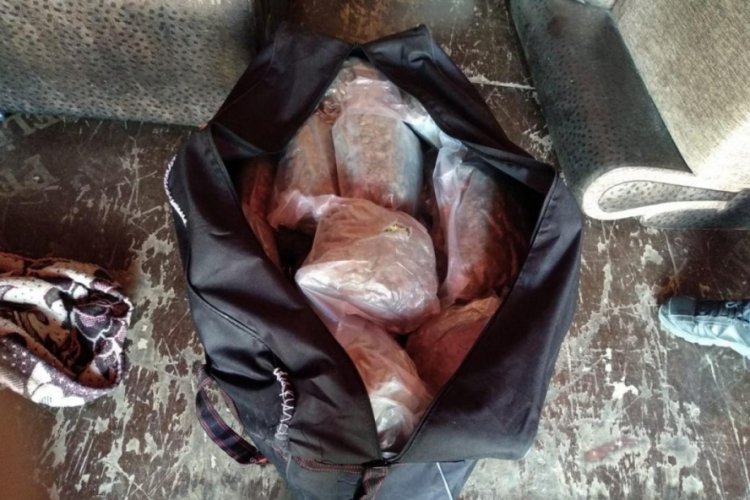 Kamyonundan 52 kilo esrar &ccedil;ıktı, 'Haberim yok' dedi
